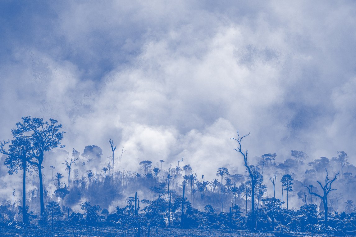 CO2-SCHLEUDER
Bei Altamira, Brasilien, steht im August 2019 Urwald in Flammen. Bedroht sind nicht nur Tiere wie der Jaguar, sondern auch das Weltklima
