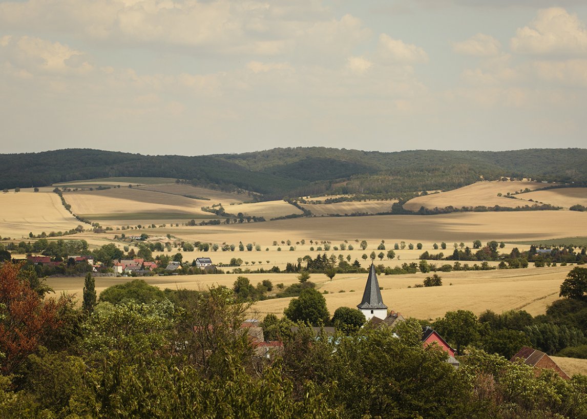 Blick auf die Hohe Schrecke in Thüringen
