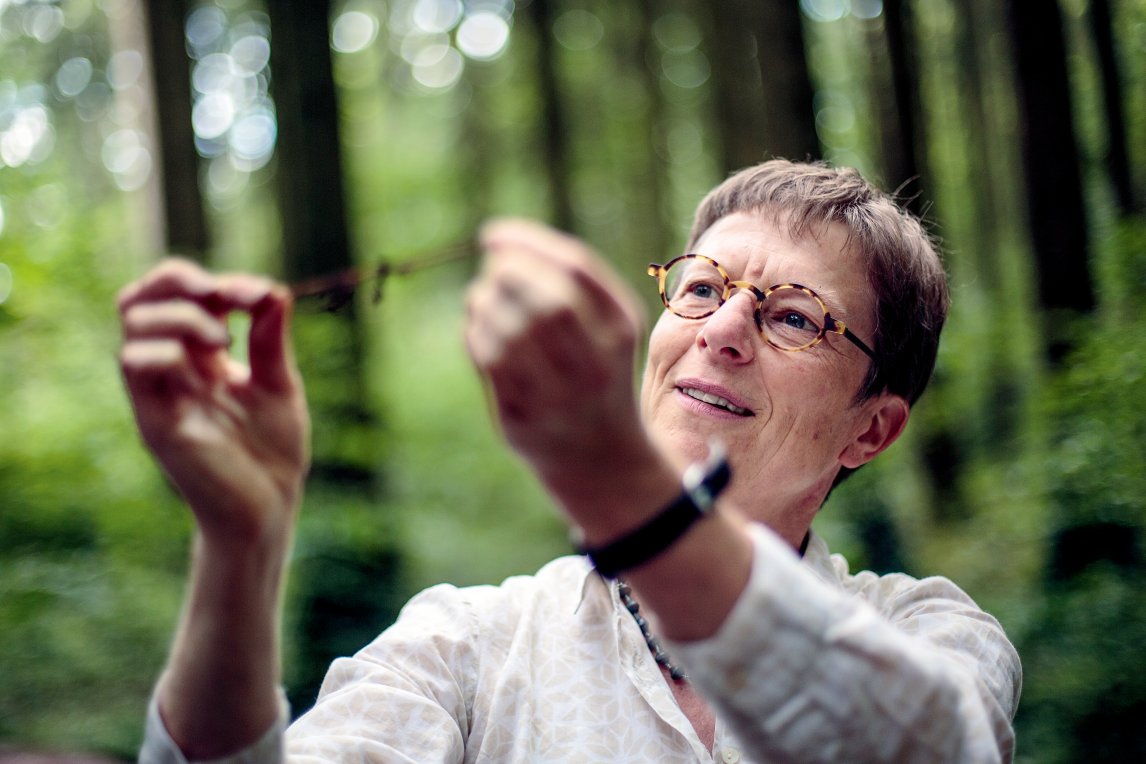 <p>PILZ-TEST<br />
Seine Kollegin Karin Pritsch hat eine Fichtenwurzel ausgegraben, die von Pilzen umhüllt ist</p>

