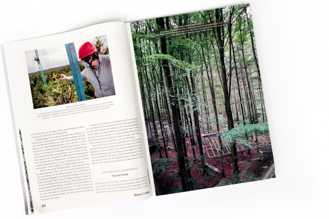 <p>Reportage "Die Zukunft des Waldes", Greenpeace Magazin 5.20</p>
