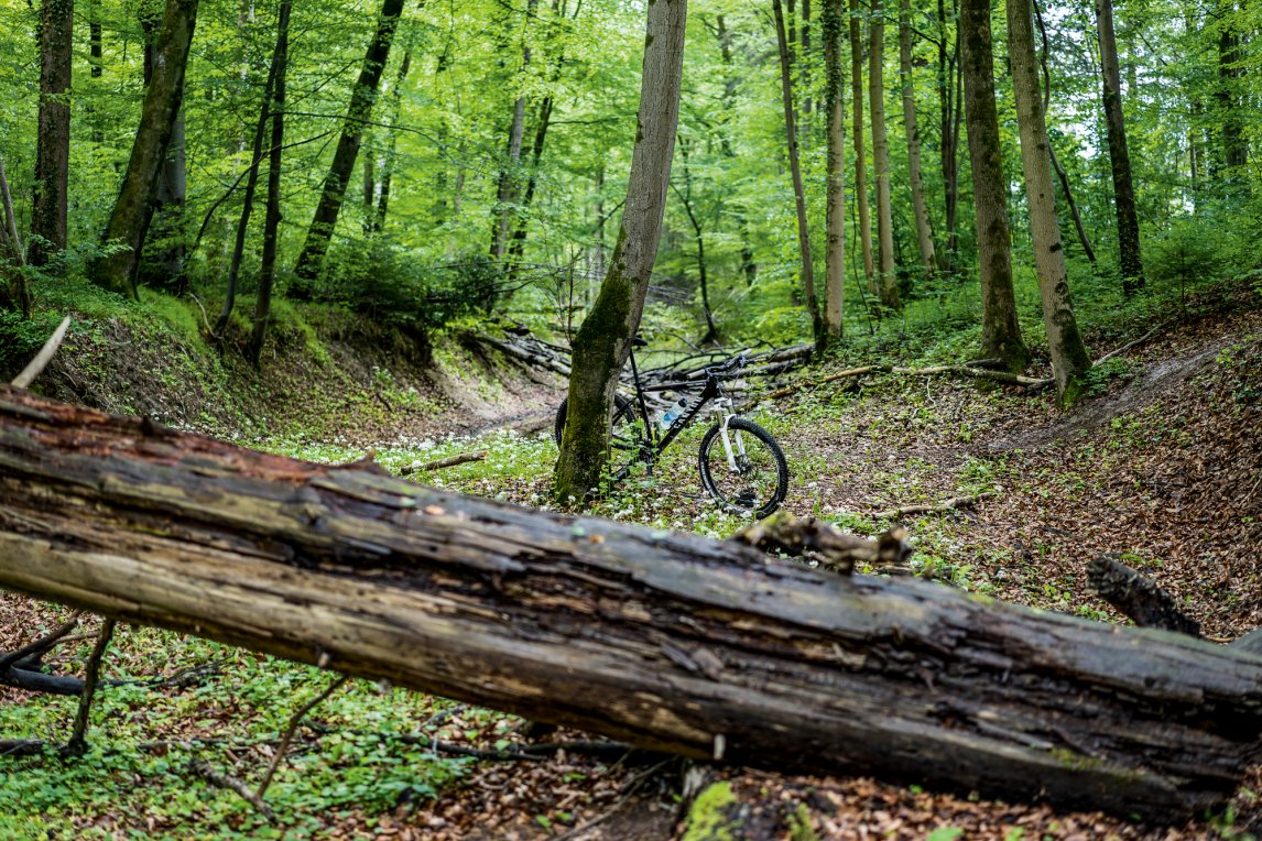 <p class="text-align-center">DER BERG RUFT<br />
Allein in der Natur – so zeigt man sich gern auf Instagram, wie auf unserem Titelbild am bayerischen Eibsee an der Zugspitze. Auch Mountainbiker schätzen die Waldeinsamkeit</p>
