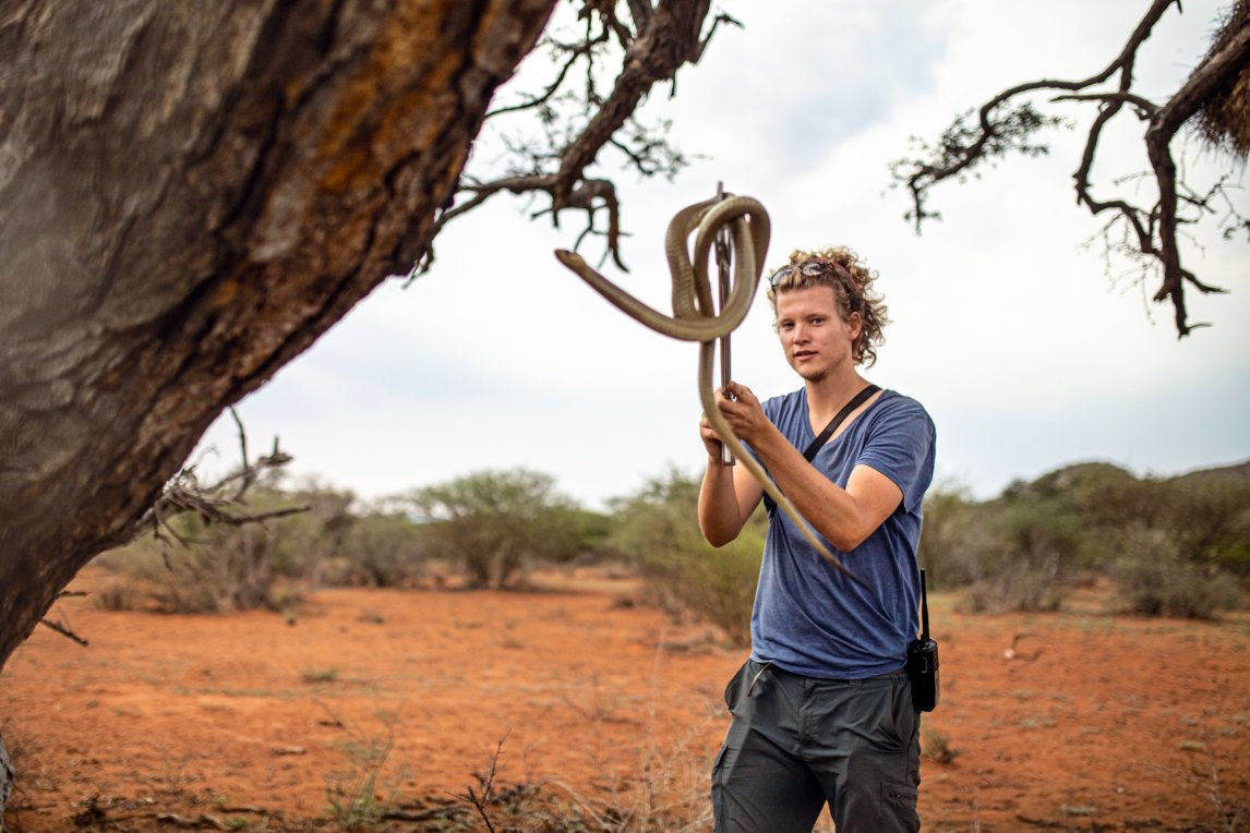 <p>Thilo Beck aus Darmstadt erforscht in der südafrikanischen Kalahari eine der giftigsten Schlangen der Welt</p>
