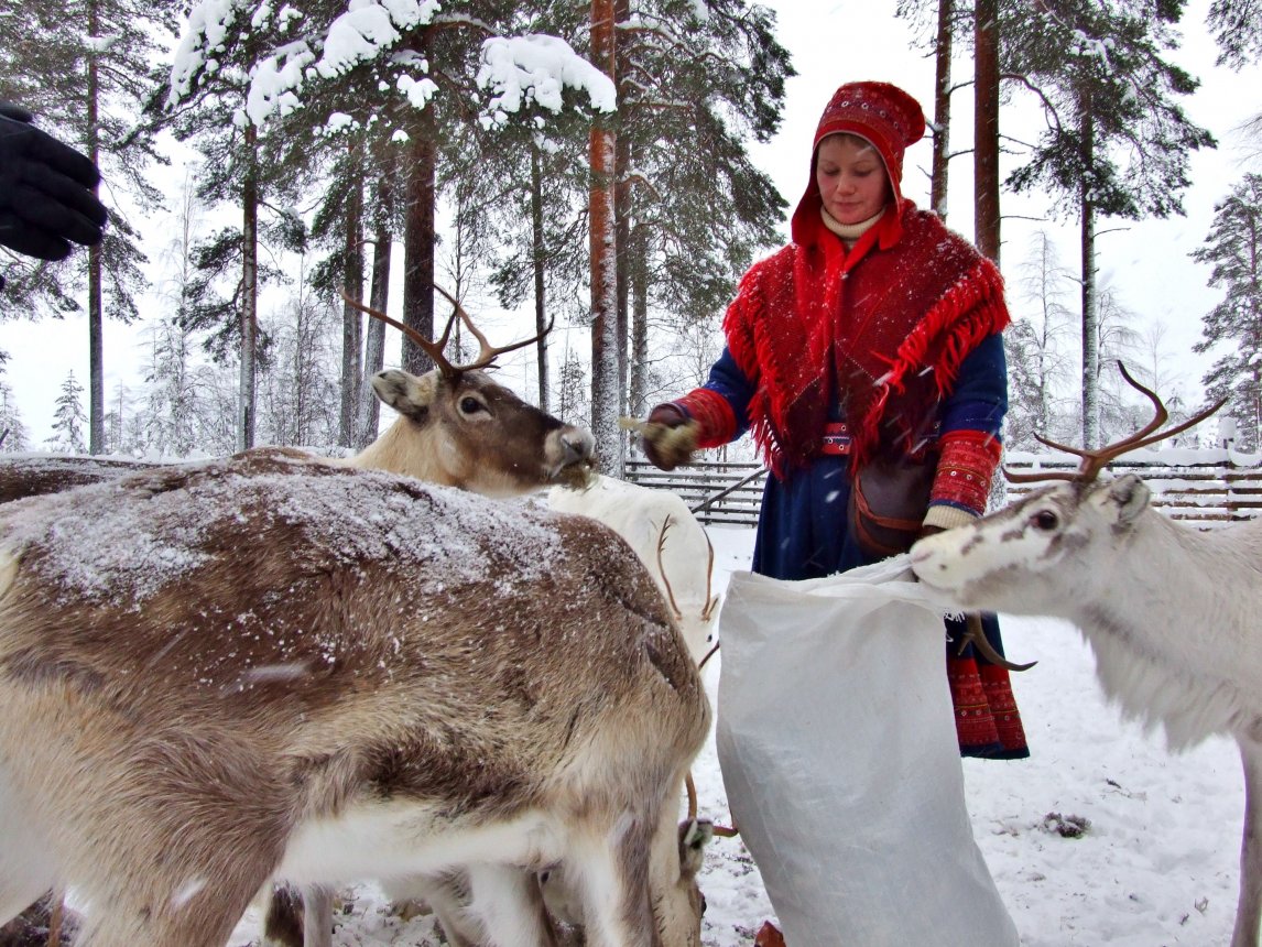 Nach der Schlittentour gibt’s Flechten für die Rentiere von Pirjo Uusitalo. Ihre blau-rote Tracht zeigt nicht nur aus welcher Region Sápmis und aus welcher Familie Pirjo kommt, sondern auch, ob sie verheiratet ist oder Kinder hat.
