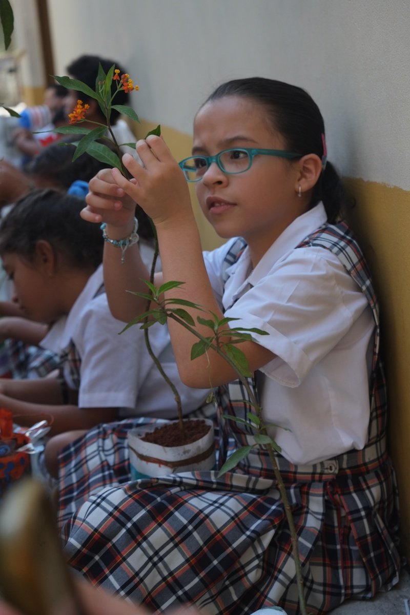 <p>Welche Rolle spielen Insekten für die Kaffeepflanzen? Beim Artenvielfaltsprojekt der Universität in Medellín untersucht ein Mädchen die Kaffeepflanze</p>
